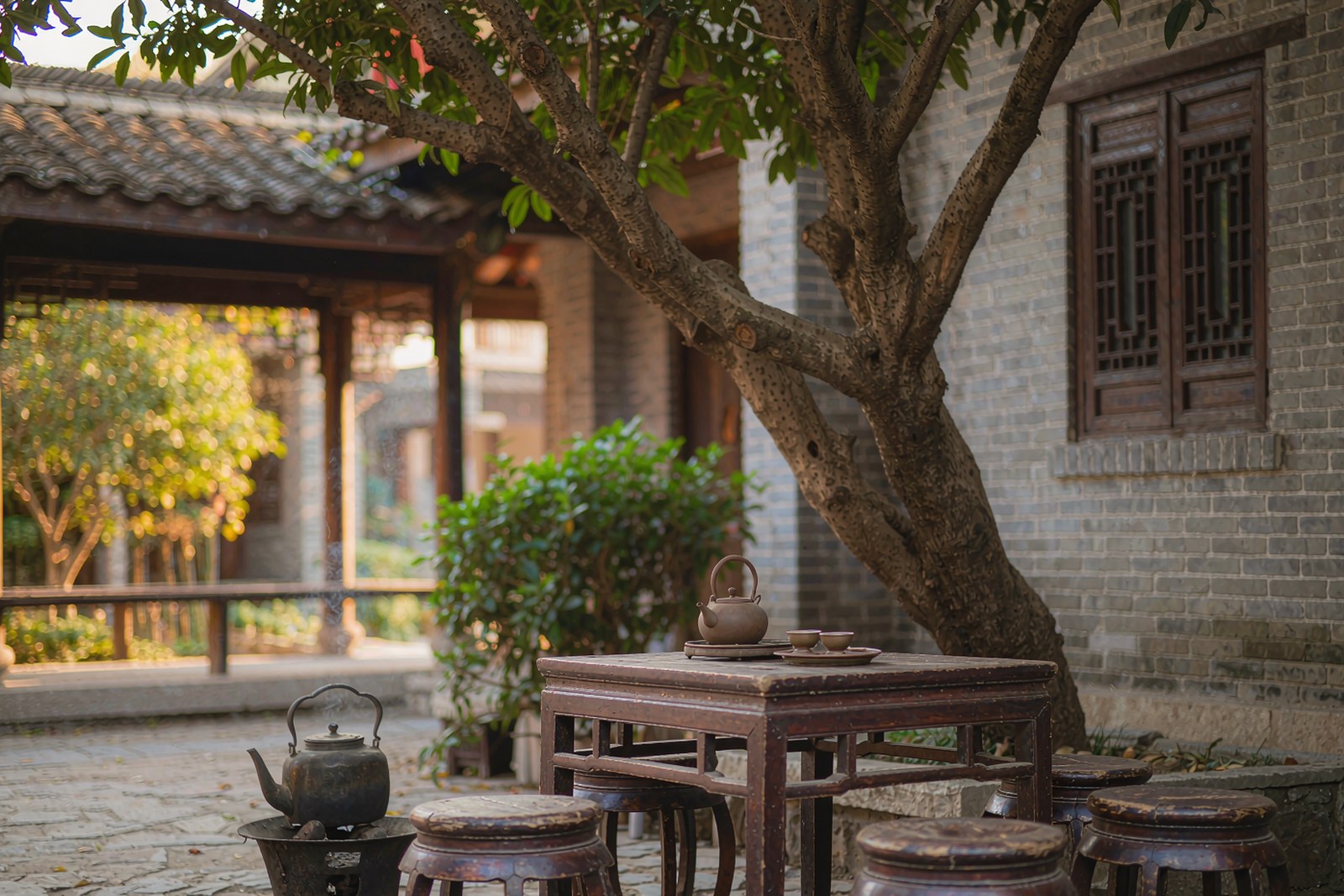 A courtyard with a tea table under an old tree, charcoal brazier beside it