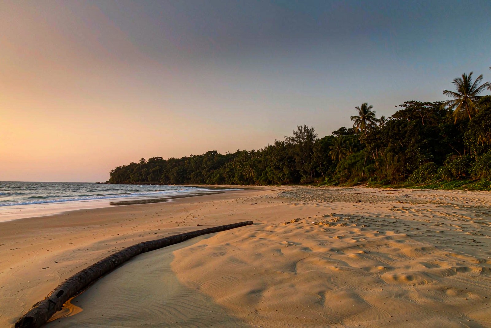 A quiet stretch of beach at sunrise with forest running down to the sand