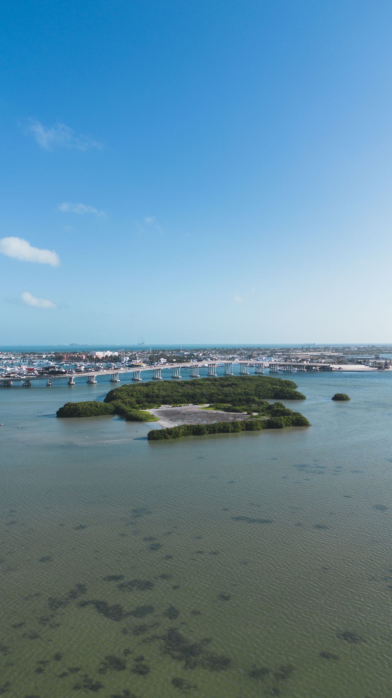 An aerial view of the isle and the river winding past the city