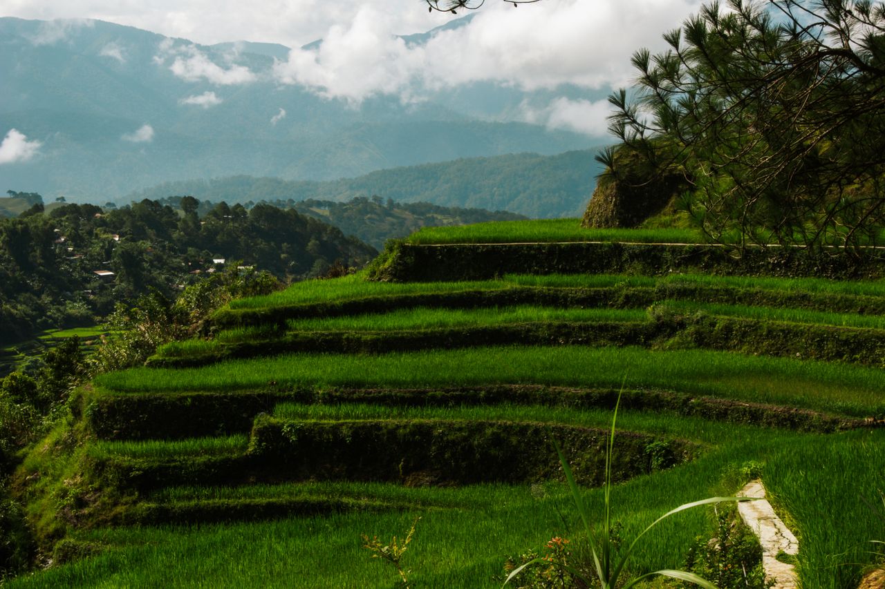 Rice fields and green hills around the quiet countryside