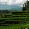 Shaoshan