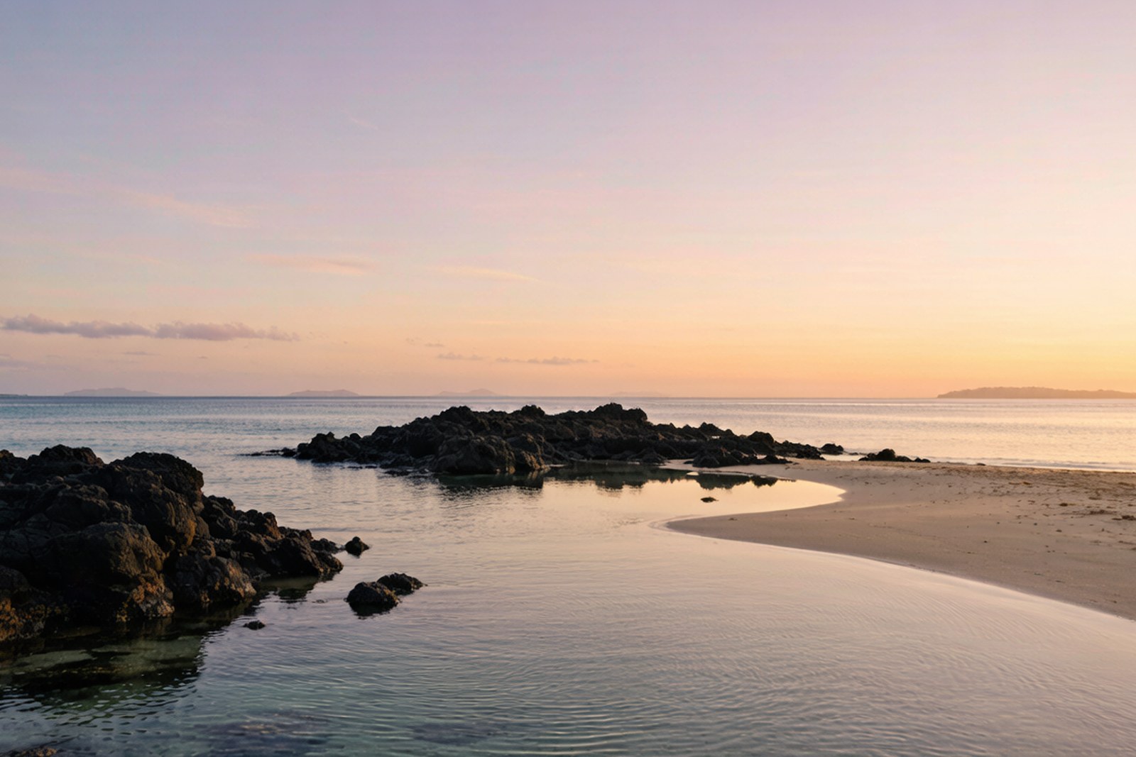 Palm trees and a wooden bridge over clear shallows